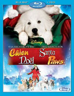 The Search for Santa Paws