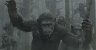 Dawn of the Planet of the Apes Dawn of the Planet of the Apes